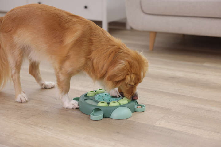 KERBL Denk- und Lernspielzeug Schildkröte